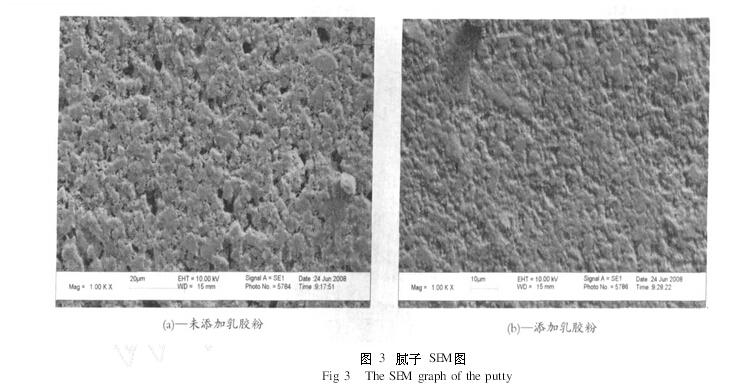 redispersible polymer powder（2）